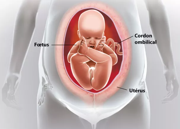 Comment soutenir la tête de bébé dans le siège auto ?